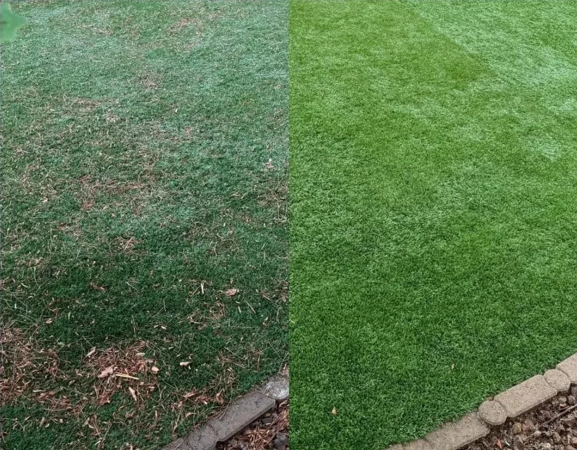 Mesquite NV Backyard Turf Before and After Deep Cleaning after