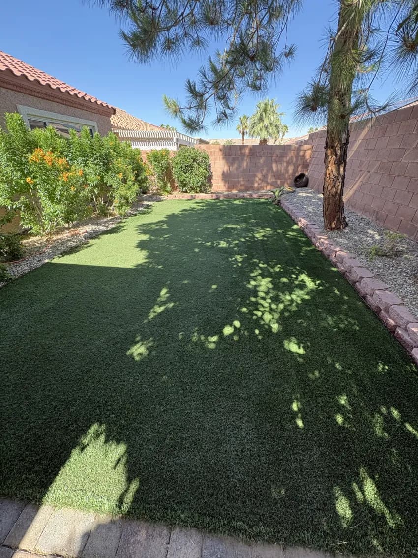 The same backyard turf restored to bright, even green after deep cleaning