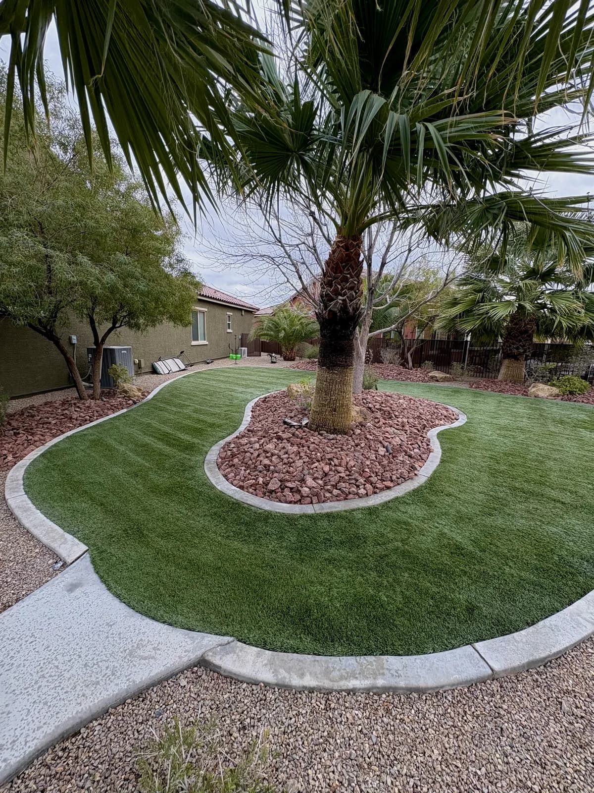 Curved artificial turf yard restored around a mature palm tree with crisp concrete edging