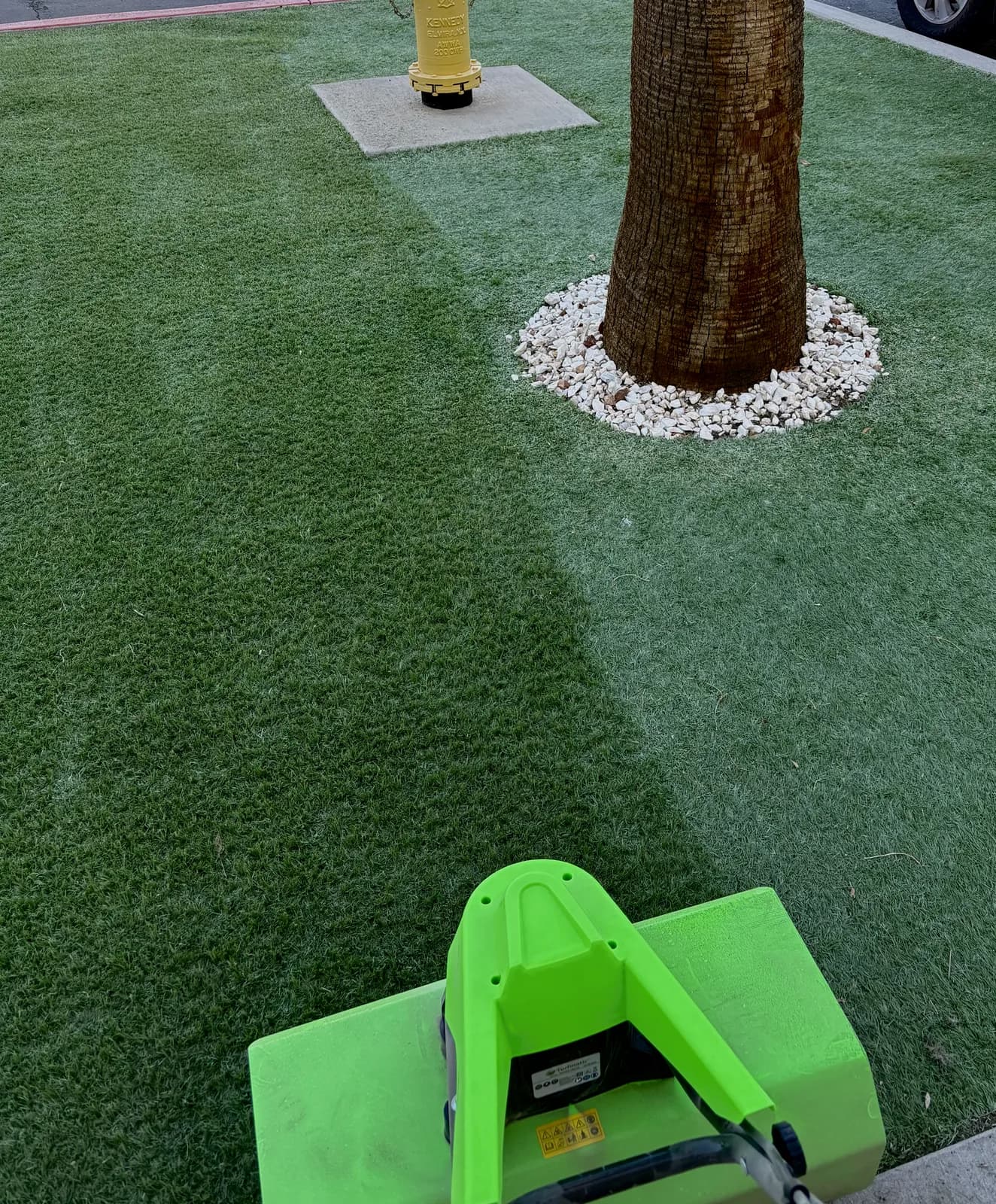 Restored artificial turf around a desert palm tree after a deep clean, bright lifted blades and crisp edges